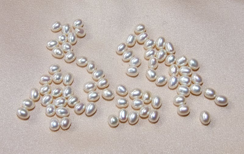 Fresh Water Pearl Beads Sample CGP001